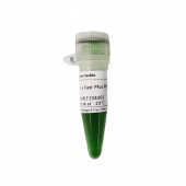 2 X Fast Pfus PCR Master Mix PCR Premix for Nucleic Acid Amplification