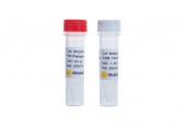 T4 Polynucleotide Kinase (RK20524)