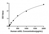 Rabbit anti-Human Soluble Tyrosine-protein kinase receptor UFO(sAXL) mAb (DET) (RM17990)