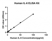 Rabbit anti-Human IL-6 mAb (CAP) (RM17601)
