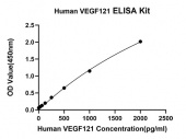 Rabbit anti-Human VEGF121 mAb (CAP) (RM17839)