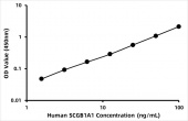 Human Uteroglobin (SCGB1A1) ELISA Kit (RK07362)