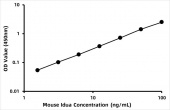 Mouse Alpha-L-iduronidase (Idua) ELISA Kit (RK06324)