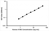 Human Alpha-1B-glycoprotein (A1BG) ELISA Kit (RK07605)