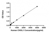 Rabbit anti-Human CHI3L1 mAb (CAP) (RM17919)