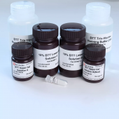 10% SDS-Page High-Resolution Color Red Gel Ultra-Fast Preparation Kit