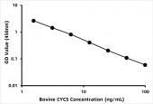 Bovine Cytochrome c (CYCS) ELISA Kit (RK07048)