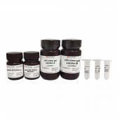 10% SDS-Page Color Gel Ultra-Fast Preparation Kit Green