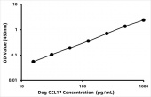 Dog C-C motif chemokine 17 (CCL17) ELISA Kit (RK08371)