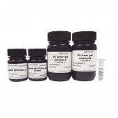 6 % SDS-Page Colored Green Gel Ultra-Fast Preparation Kit for Lab Electrophoresis Solution