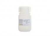 Nuclease-free H2O (RK20102)