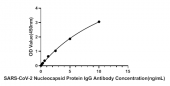 SARS-CoV-2 Nucleocapsid Protein IgG Antibody ELISA Kit (RK04257)