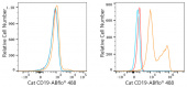 ABflo® 488 Rabbit anti-Cat CD19 mAb (A23100)