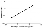 Mouse Alanine aminotransferase 2 (Gpt2) ELISA Kit (RK06500)