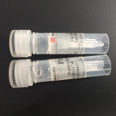 GB14118 Anti -Myoglobin Mouse mAb