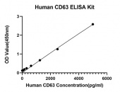 Rabbit anti-Human  CD63 mAb (DET) (RM17775)