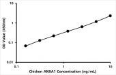 Chicken Annexin A1 (ANXA1) ELISA Kit (RK06628)