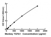 Monkey Transforming Growth Factor Beta 1 ELISA Kit (TGFb1) (RK02551)