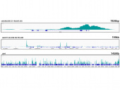 Acetyl-Histone H3-K9 Rabbit mAb (A21107)
