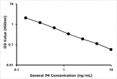 General Progesterone ELISA Kit (PG) (RK09247)