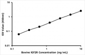 Bovine Cation-independent M6PR (IGF2R) ELISA Kit (RK08483)