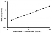 Human Amiloride-sensitive amine oxidase [copper-containing] (ABP1) ELISA Kit (RK07121)