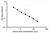 Human Alkaline Phosphatase,  Liver/Bone/Kidney ELISA Kit (ALPL) (RK00871)