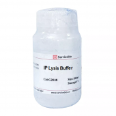 IP Lysis Buffer 100ml Solution Used to Lyse Cell Tissues to Prepare Protein Samples