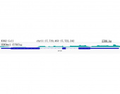 MonoMethyl-Histone H3-K9 Rabbit mAb (A20734)