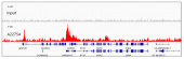 Acetyl-Histone H4-K12 Rabbit mAb (A22754)