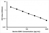 Bovine Endothelin-1 (EDN1) ELISA Kit (RK06872)