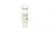 Genious 2X SYBR Green Fast qPCR Mix (No ROX) (RK21205)