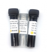 Entrans 2X qPCR Probe Master Mix V2 (RK21212)