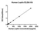 Rabbit anti-Human Leptin mAb (CAP) (RM17760)