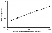 Mouse Type-2 angiotensin II receptor (Agtr2) ELISA Kit (RK07467)