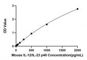 Rabbit anti-Mouse IL-12/IL-23 p40 mAb (DET) (RM17948)