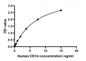 Rabbit anti-Human Cluster Of Differentiation 14 mAb (CAP) (RM17908)