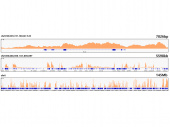 MonoMethyl-Histone H3-K79 Rabbit mAb (A21223)
