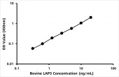 Bovine Cytosol aminopeptidase (LAP3) ELISA Kit (RK06942)