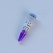 GN8K DNA Marker for Nucleic Acid Electrophoresis 100-8000bp DNA Ladder
