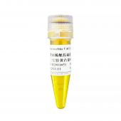 G2048-500UL 500ul Polyacrylamide Gel Page Top Gel Yellow Dye