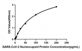 Rabbit anti-SARS-CoV-2 Nucleocapsid Protein mAb (CAP) (RM17614)