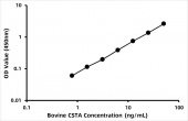 Bovine Cystatin-A (CSTA) ELISA Kit (RK06864)