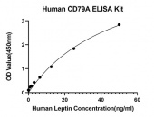 Rabbit anti-Human CD79A mAb (CAP) (RM17758)