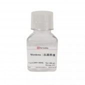 G2009-100ML 100ml Western Secondary Antibody Dilution Buffer