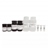 12% SDS-Page High-Resolution Color (green) Gel Ultra-Fast Preparation Kit