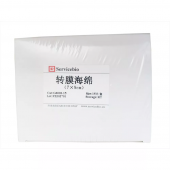 G6002-15 Western Blot Protein Transfer Sponge 15pcs