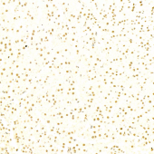 GB11947 Anti -ADRM1/ARM-1 Rabbit Polyclonal Antibody
