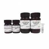15% SDS-PAGE Colored (red) Gel Ultra-fast Preparation Kit for Western Blot