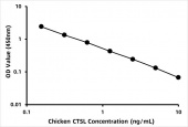 Chicken Cathepsin L1 (CTSL) ELISA Kit (RK06577)